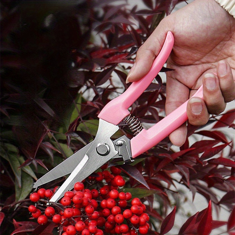 Zestaw 2 nożyc do kwiatów (róż – Pinking Shear Blade recenzja i cena