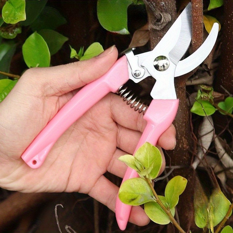 Zestaw 2 nożyc do kwiatów (róż – Pinking Shear Blade recenzja i cena